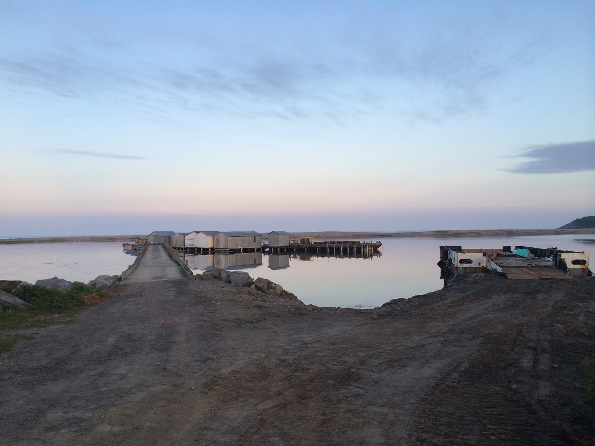 Stacks Image 870211