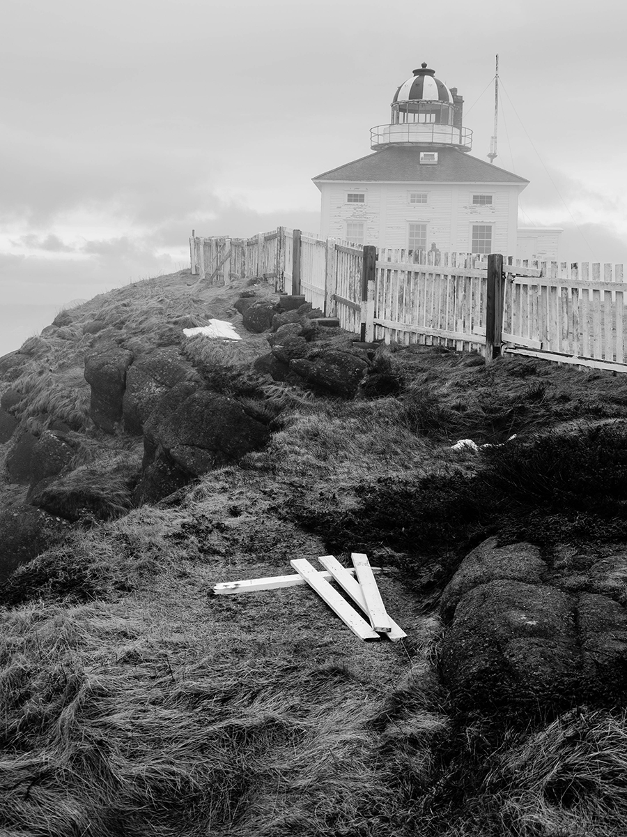 Stacks Image 870168