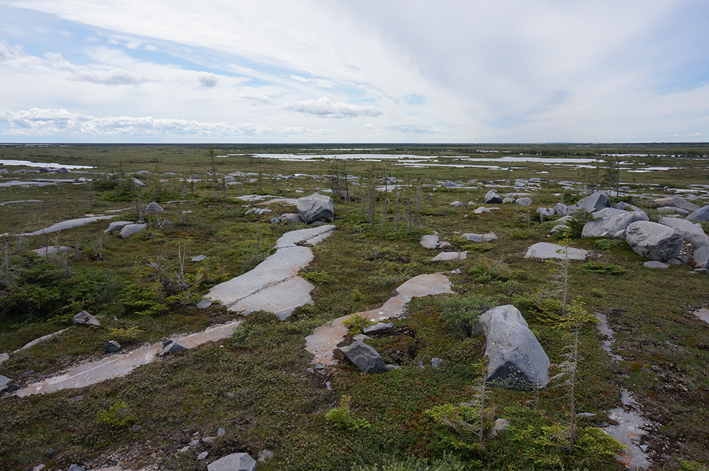 Stacks Image 841196